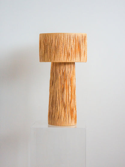 Rafya Hasır Abajur.