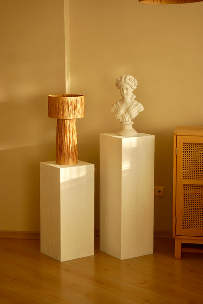 Alçı Görünümlü Beyaz Sütun.